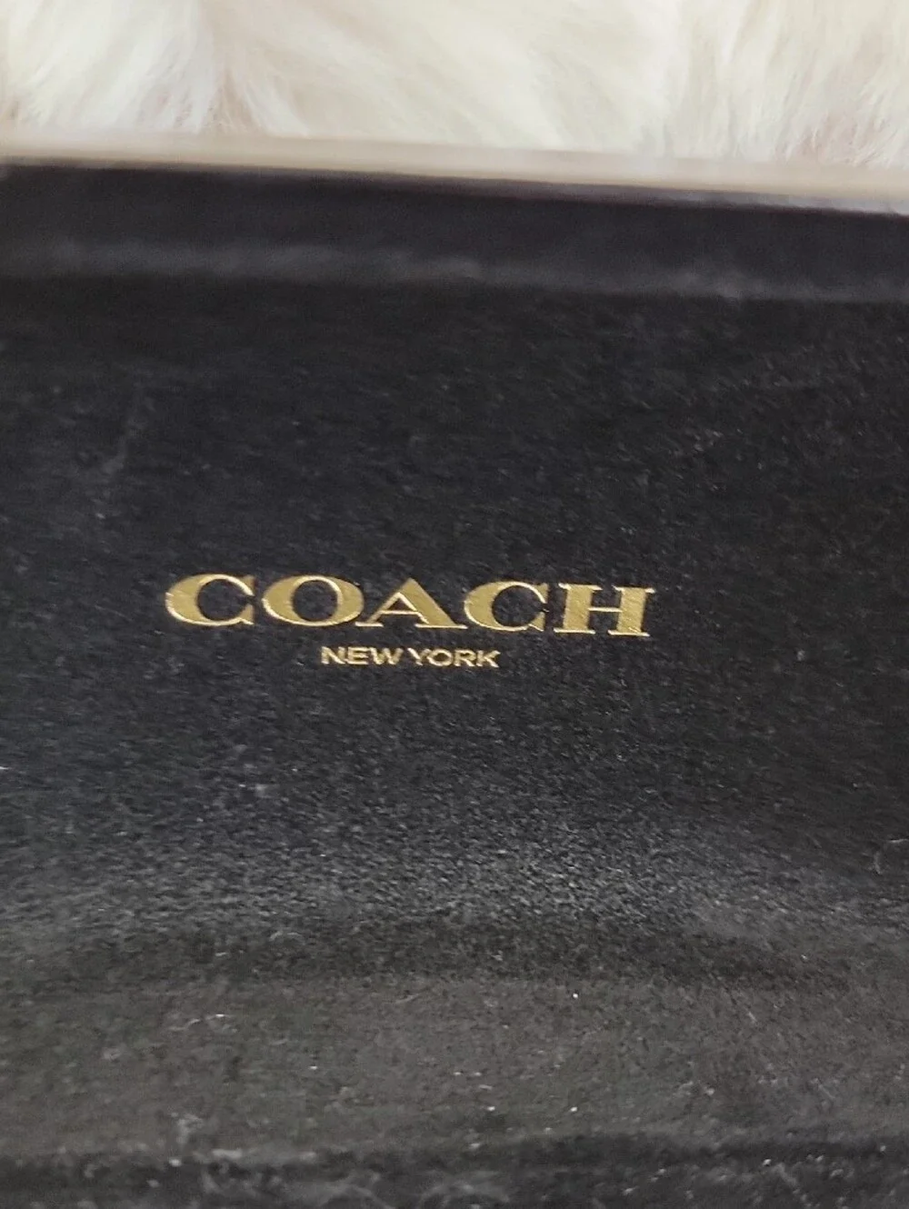 Coach Black Sunglasses Case with Gold Logo